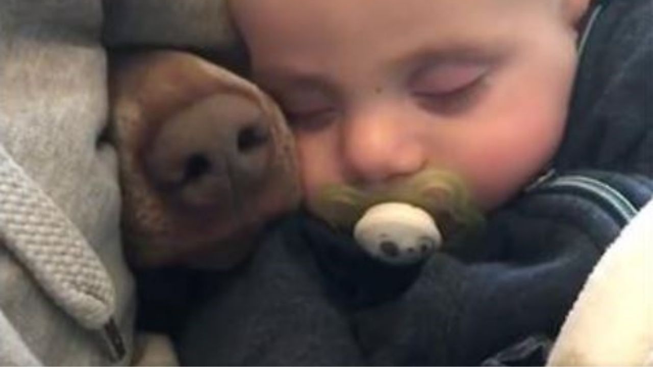 Un bambino con un cane che dorme