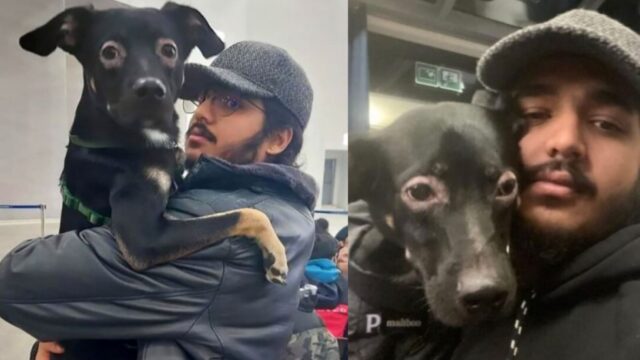 Il ragazzo che si è rifiutato di lasciare il suo cane in Ucraina adesso si è finalmente riunito a lui