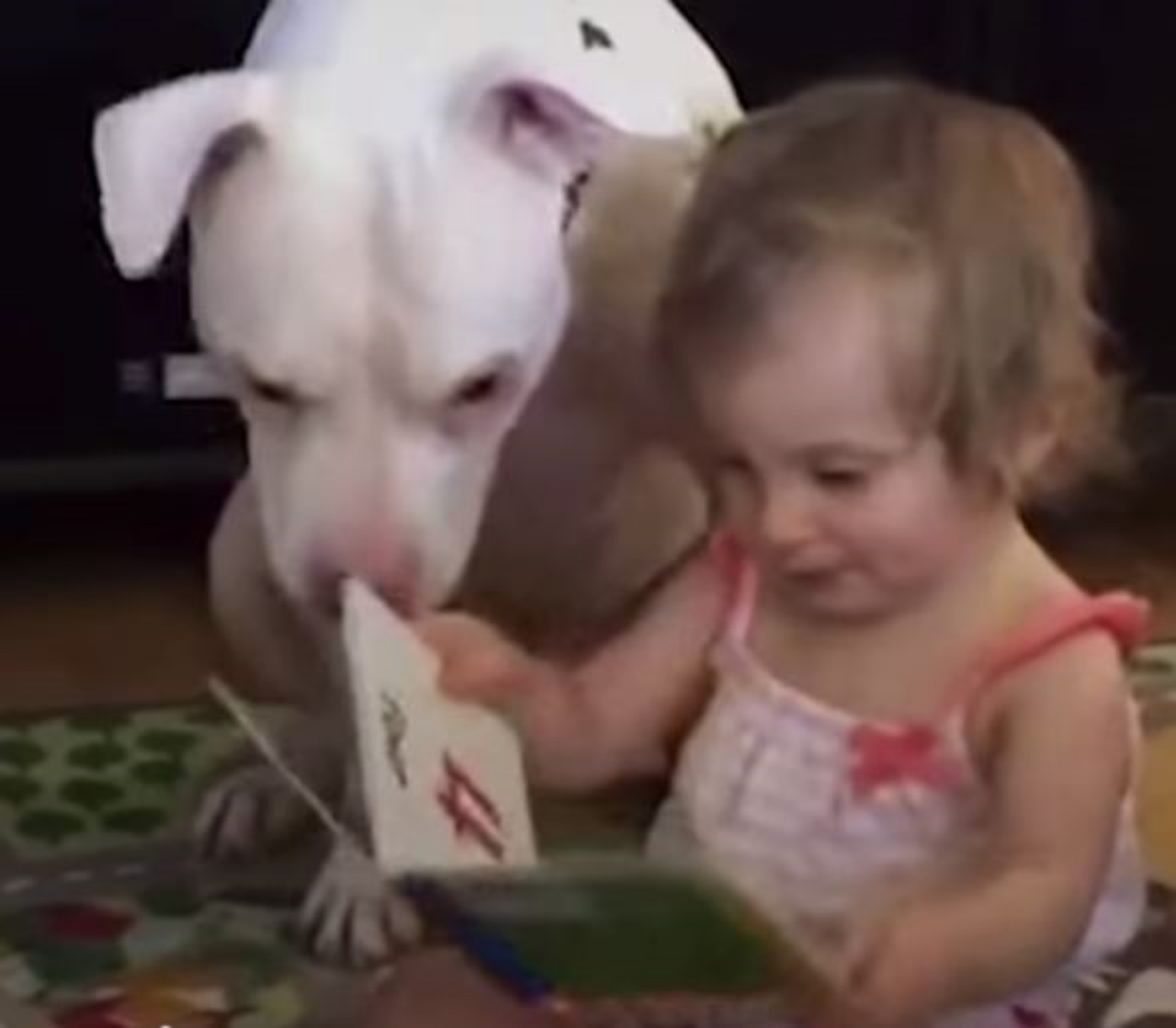 Un bambina con un cane al fianco