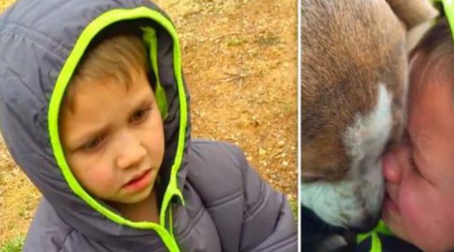 un bambino con un cane