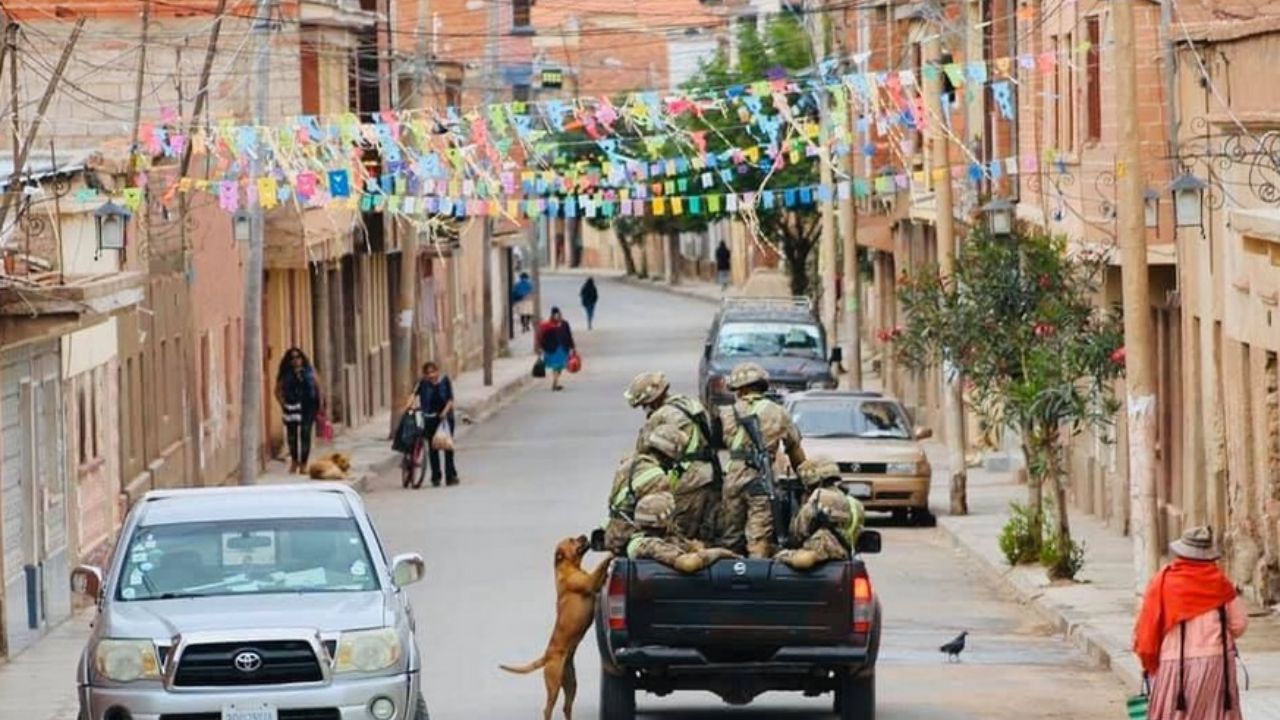 cagnolino in posizione eretta