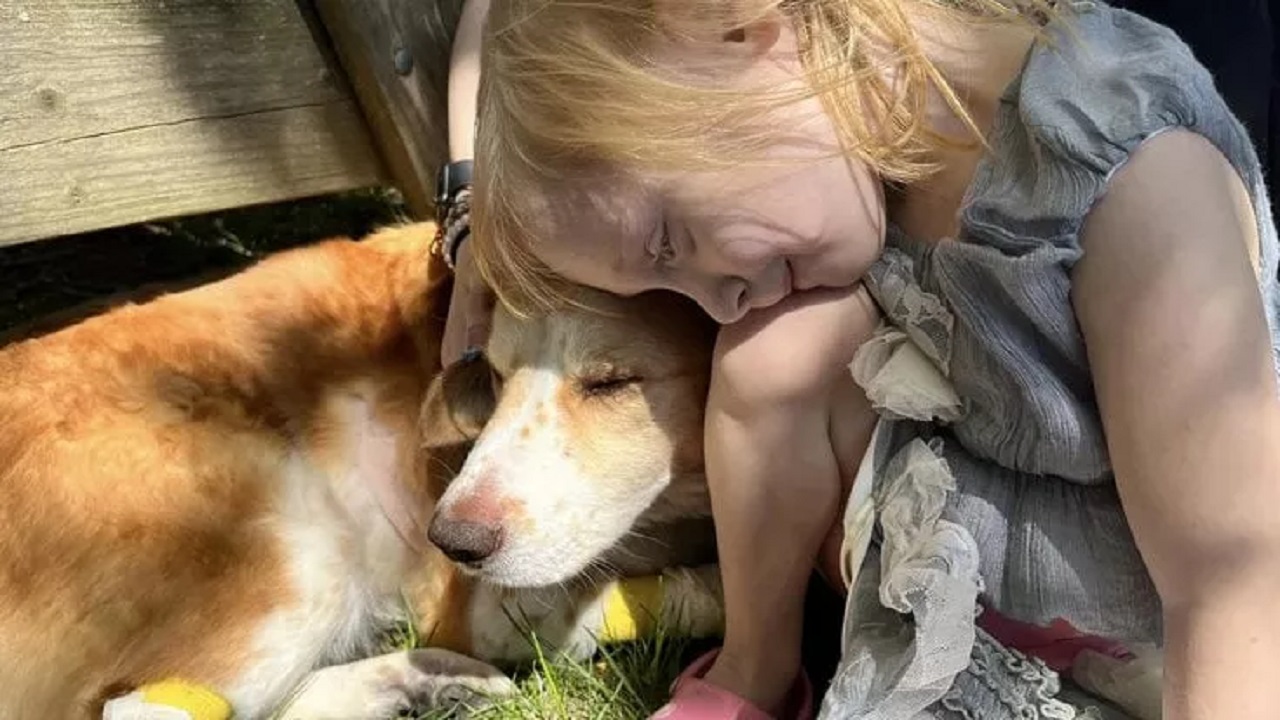 Padroncina con il suo cane