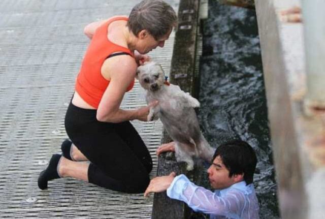Era in riva al mare per un motivo molto triste, ma poi ha finito per salvare la vita di questo cane