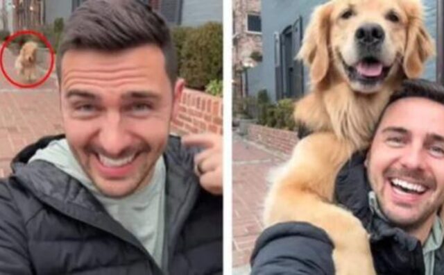 Il selfie perfetto: questo cane corre pur di poter scattare la foto con il suo umano preferito (VIDEO)