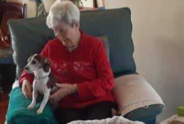 Il cane di una donna di 85 anni muore, ma nessuno le permette più di adottarne un altro