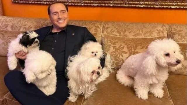 Silvio Berlusconi, Dudù e tutti i cani amati dal Cavaliere