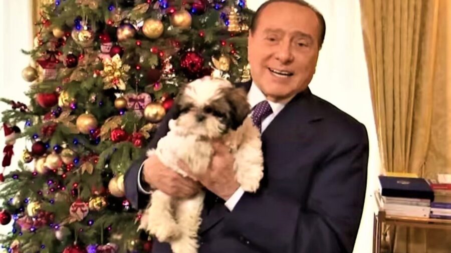 Il nuovo cane di Berlusconi