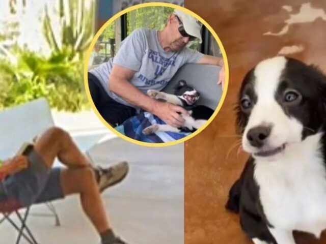 Si accampa per 5 ore davanti a un rifugio pur di adottare il cucciolo di cane di cui si era innamorato