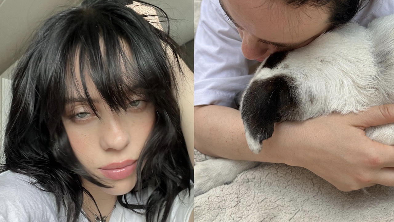 Billie Eilish dice addio alla sua cagnolina