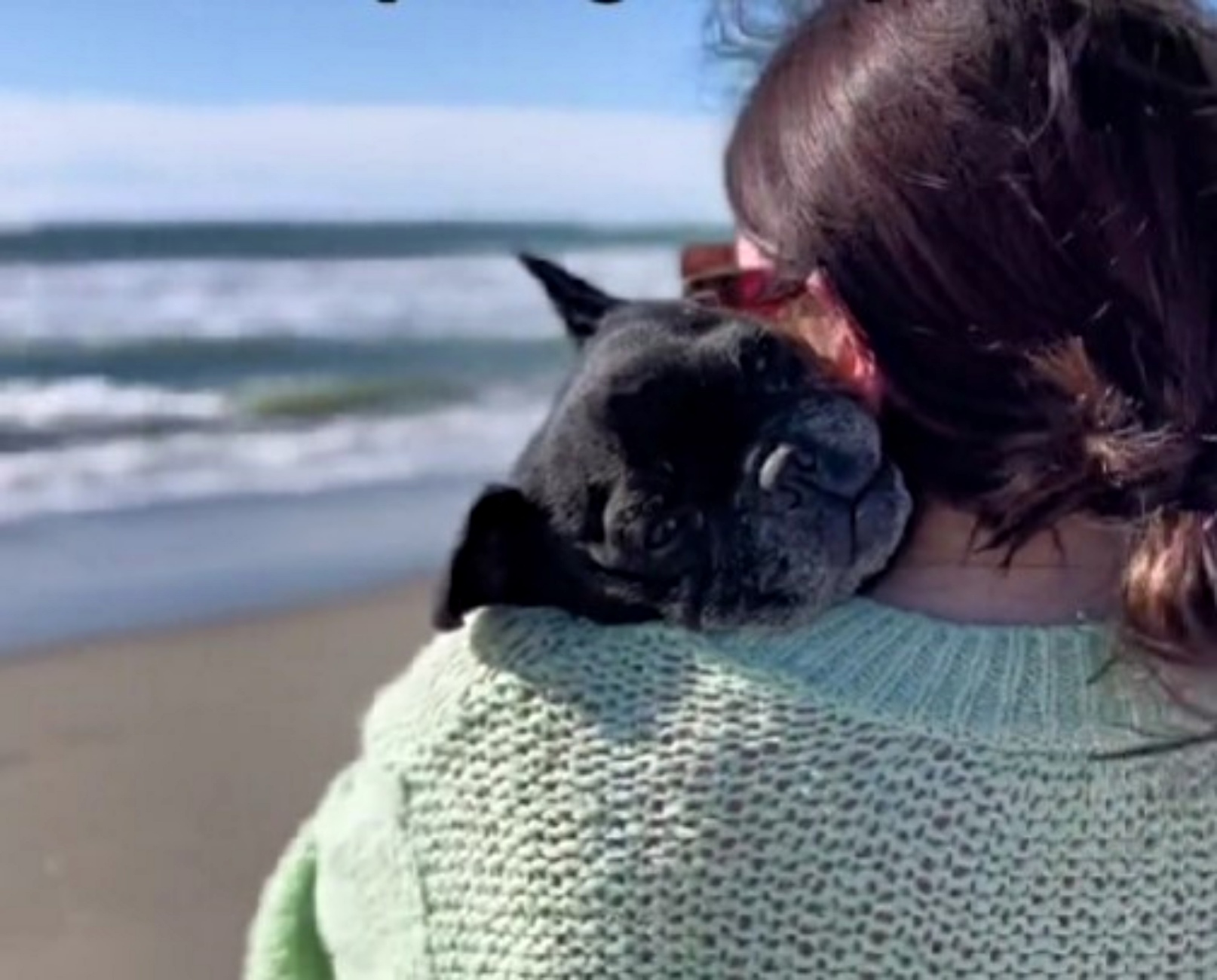 cagnolina e umana