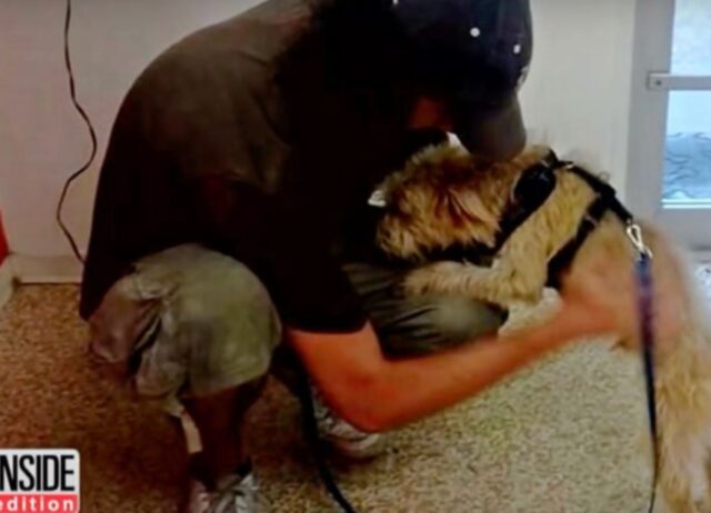 Il senzatetto era disperato per ciò che era accaduto al suo cane e ha chiesto aiuto a chiunque