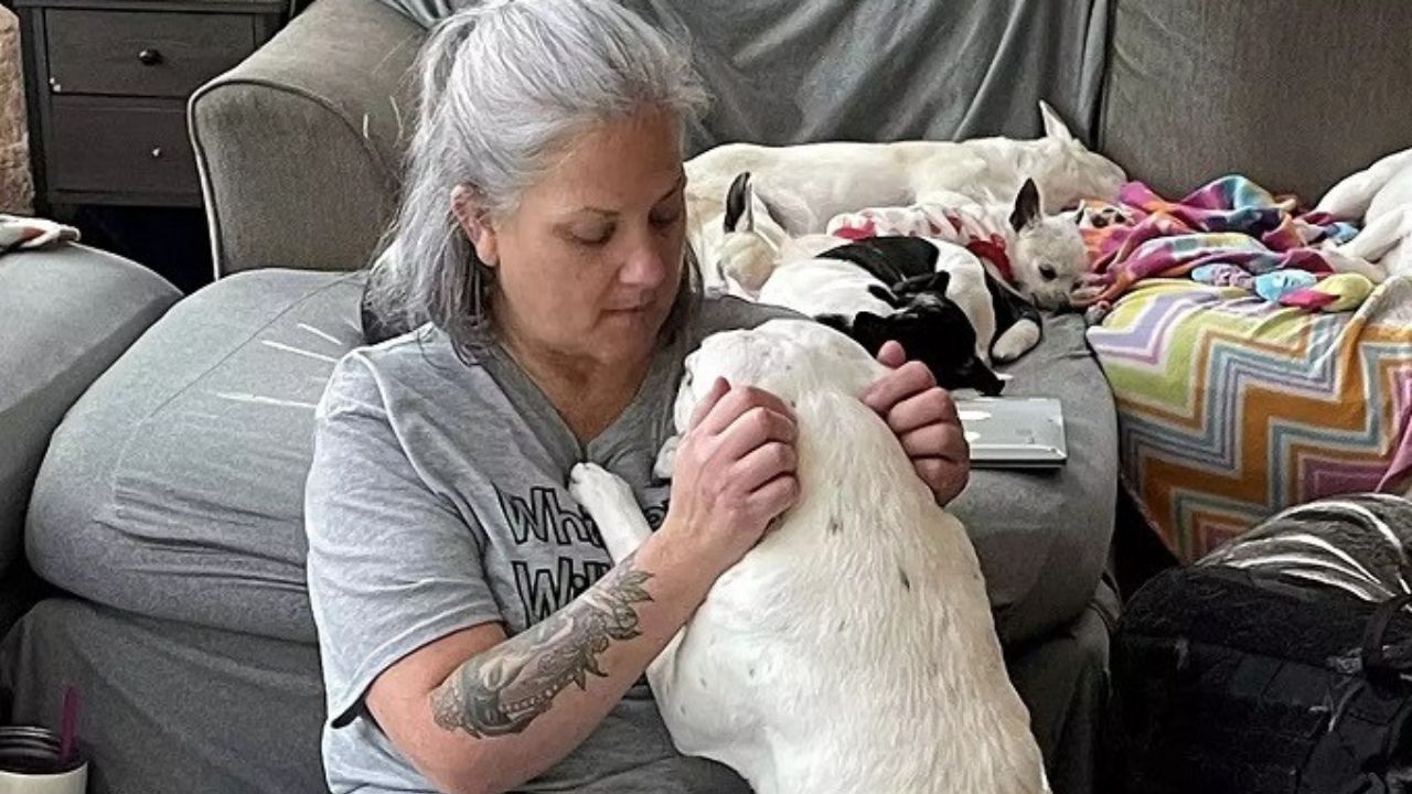 Donna coccola un cane anziano