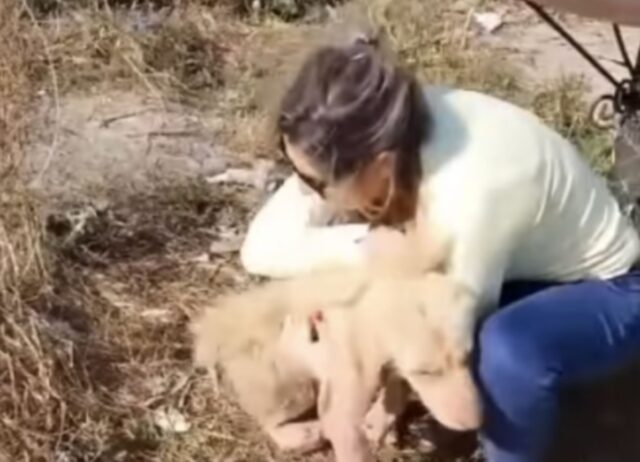 La donna si era avvicinata per seppellire questo cane. Poi il suo naso si è mosso, nonostante tutto