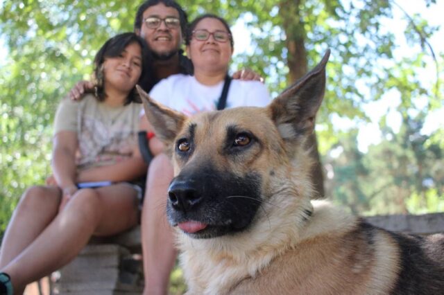 Lo hanno trovato brutalmente ferito, ma questo cane adesso ha una meravigliosa nuova famiglia