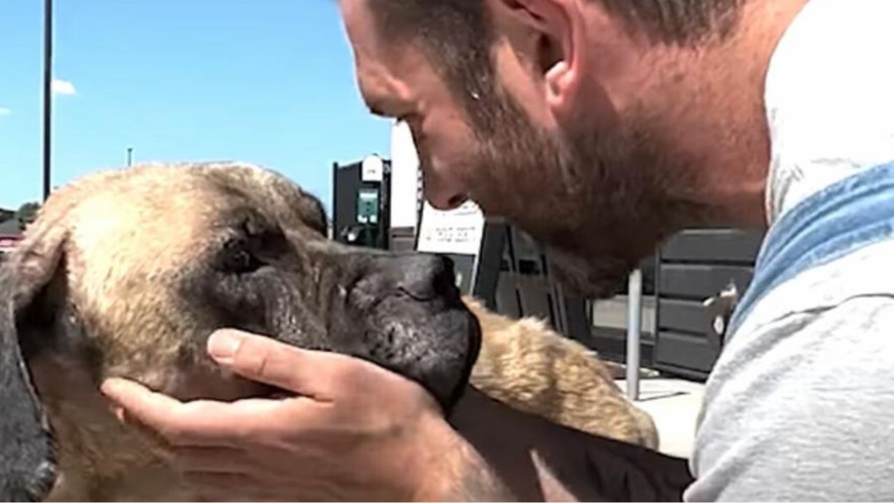 un uomo e il suo cane