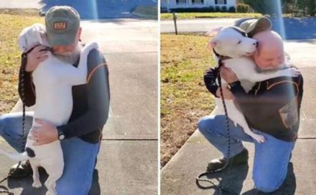 Appena adottato, questo Pitbull dimostra subito di essere felicissimo di avere una nuova famiglia