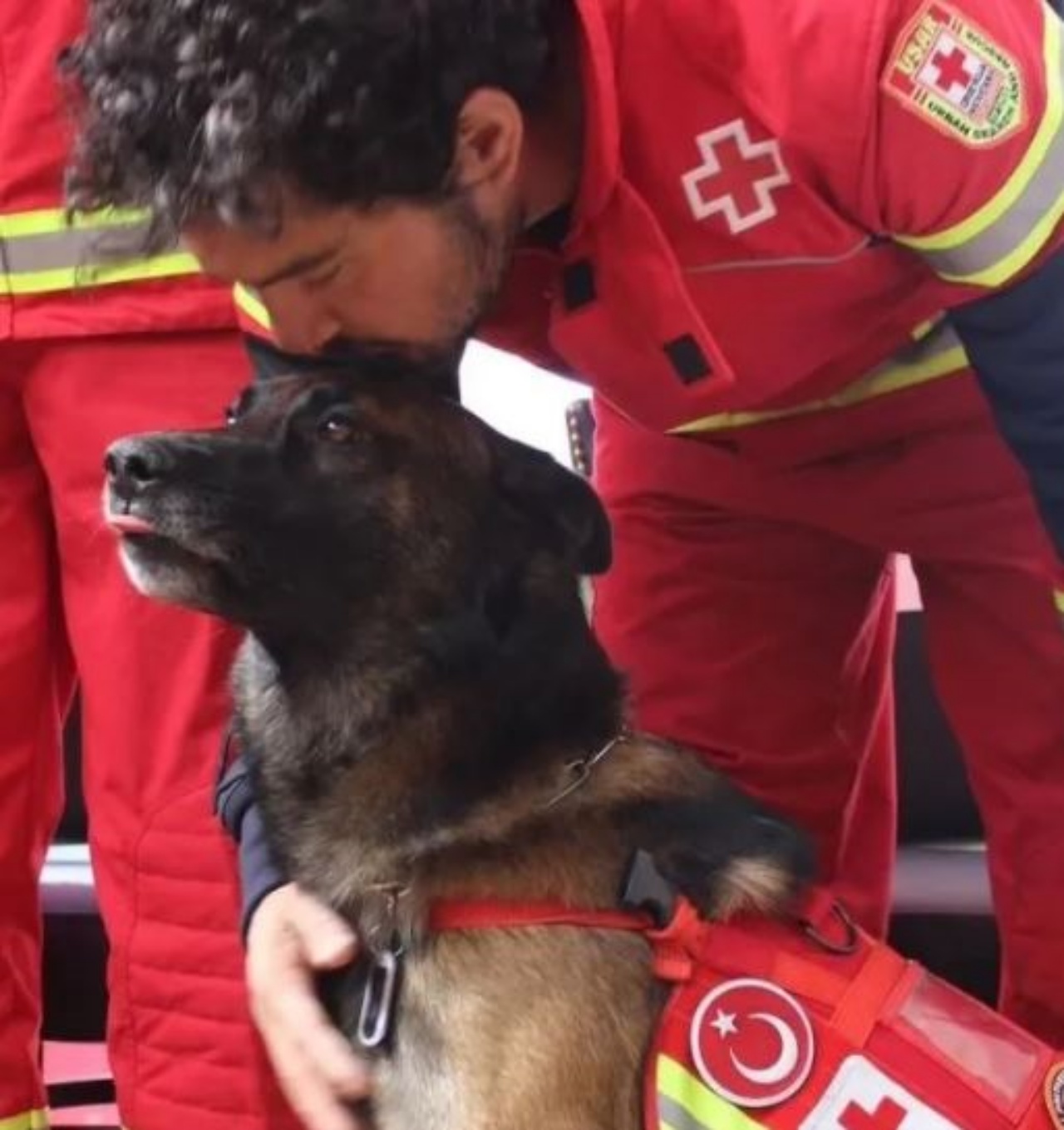 un cane eroe di nome Rex