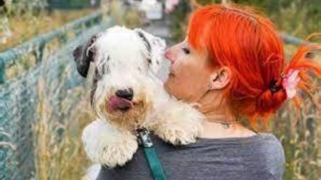 Stanca delle delusioni d’amore, questa donna decide di sposare il suo cane