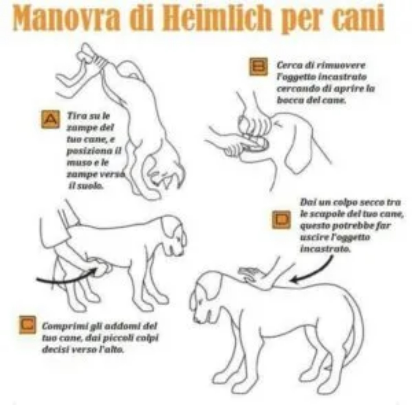 Manovra di Heimlich