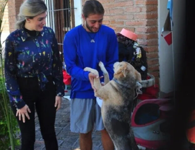 Viaggiatore adotta un cane maltrattato: insieme hanno vissuto una bellissima avventura