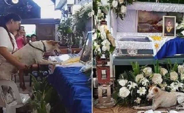 Il commovente addio al maestro che si è preso cura del cane randagio per 4 anni