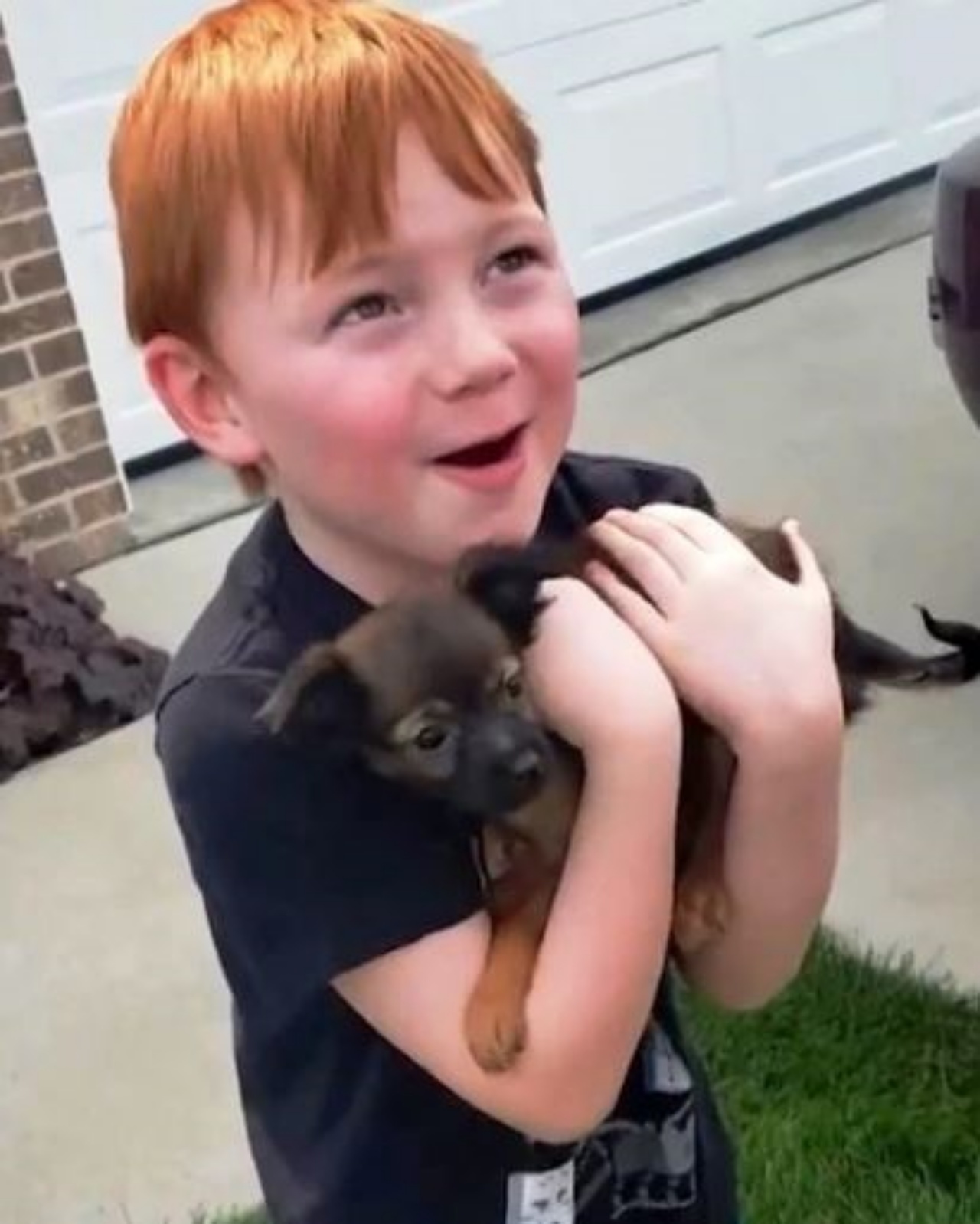 Un bambino con un cucciolo