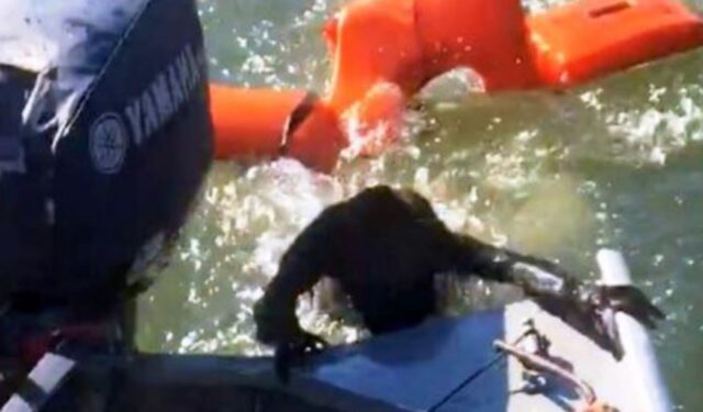 Il pescatore lancia il giubbotto di salvataggio per salvare il cane che sta annegando. Ma non è affatto un cane