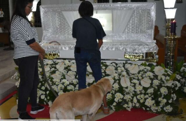 Cane accanto al proprietario defunto non vuole saperne di lasciarlo andare