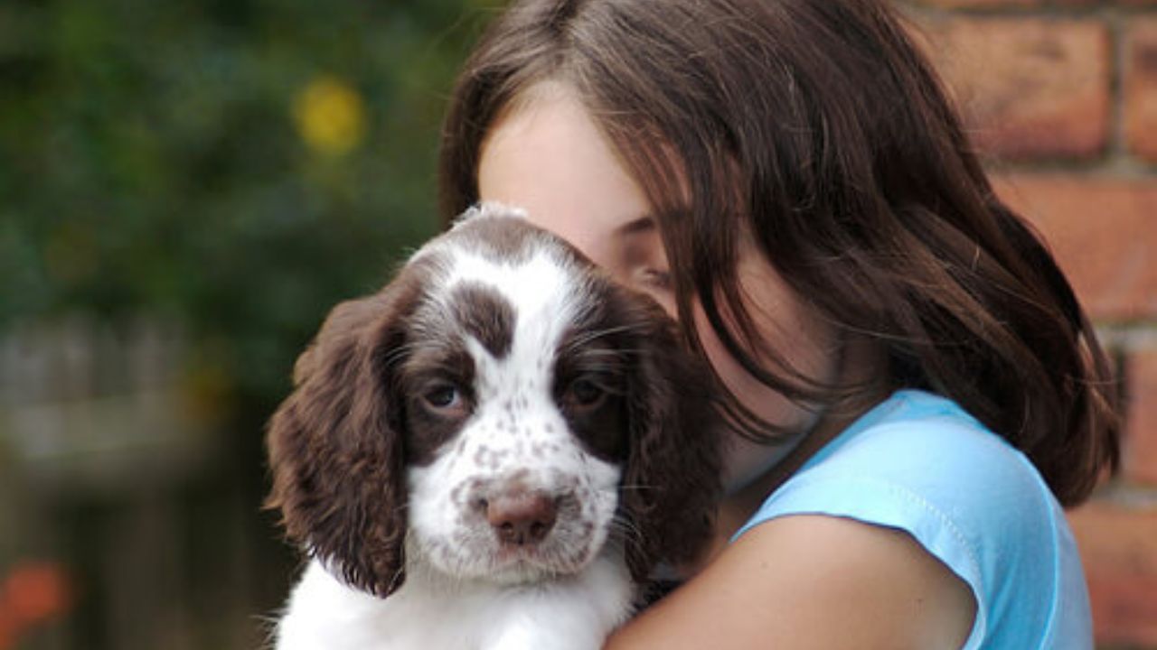 cane prova emozioni