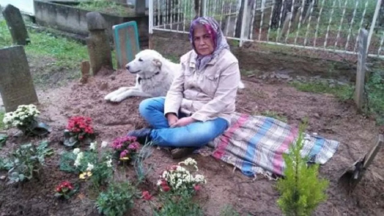Donna e cane al cimitero