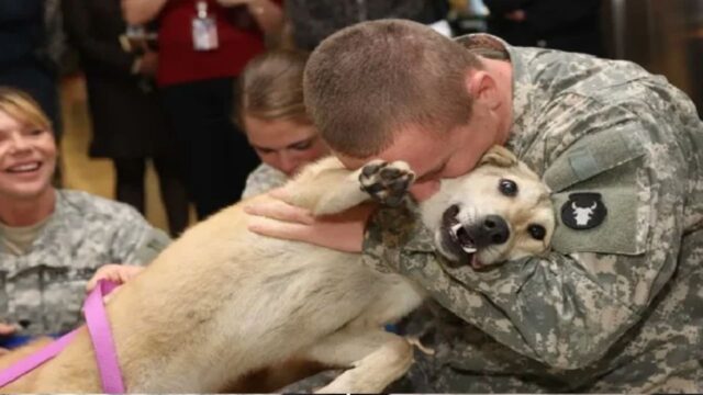 cane saluta soldato tornato dalla guerra