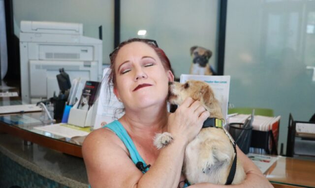 Cane scomparso da 3 settimane ritrova la sua famiglia: da Las Vegas trovato a San Diego