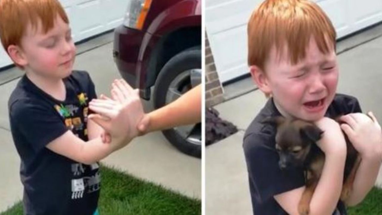 Xander insieme ad un cagnolino