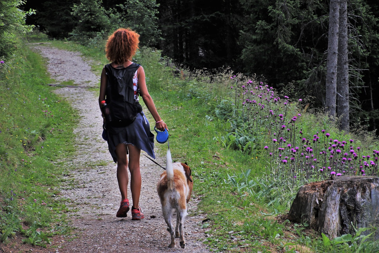 Cane passeggia con la proprietaria