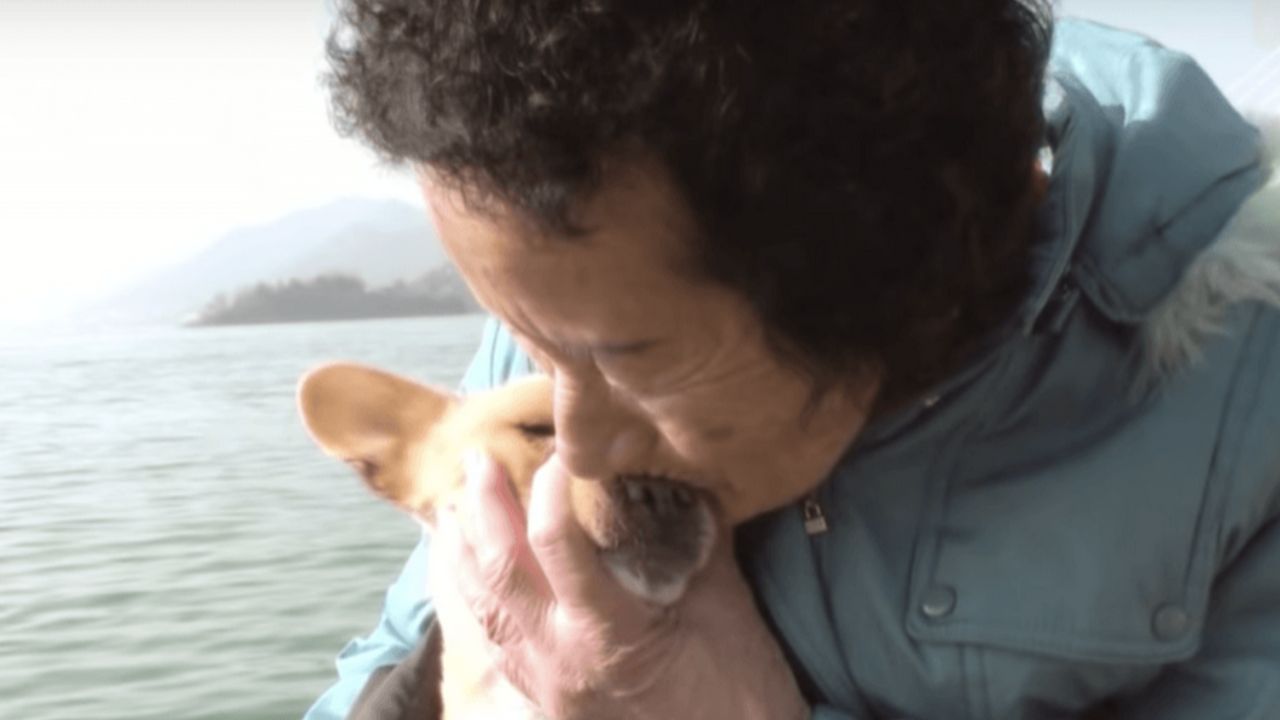 cane con la sua padrona