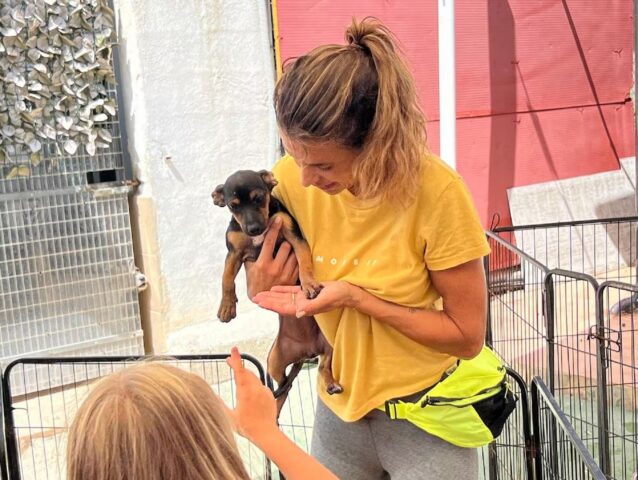 Elisabetta Canalis e la figlia Skyler adottano due cuccioli dal canile