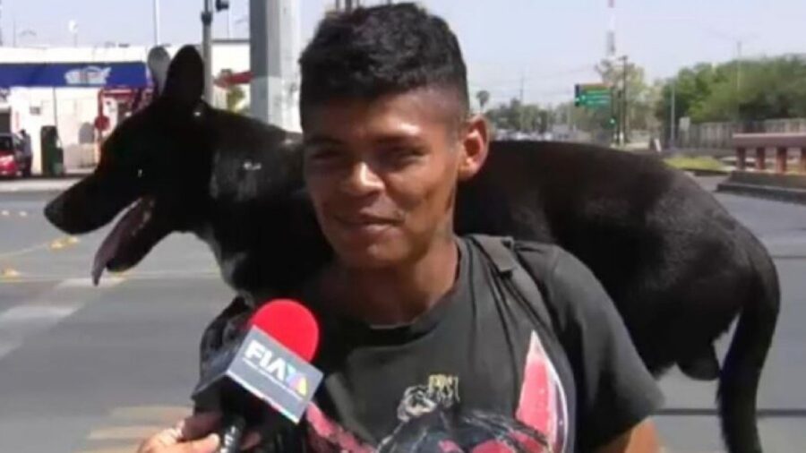 Ragazzo con cane di strada