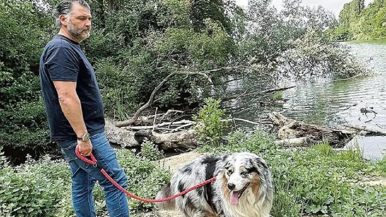 Pastore australiano con il proprietario