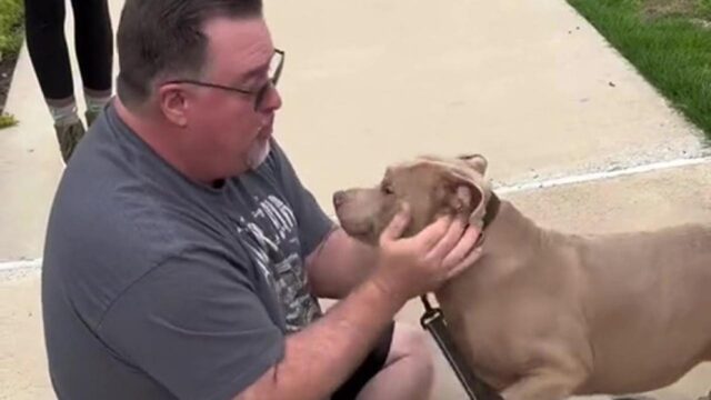 Uomo rivede il suo cane nel giorno del suo compleanno