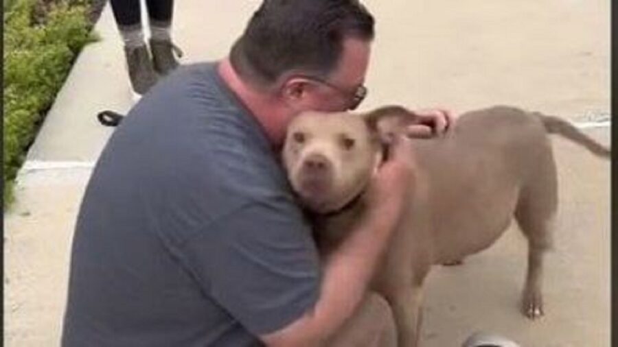 Uomo rivede il suo cane