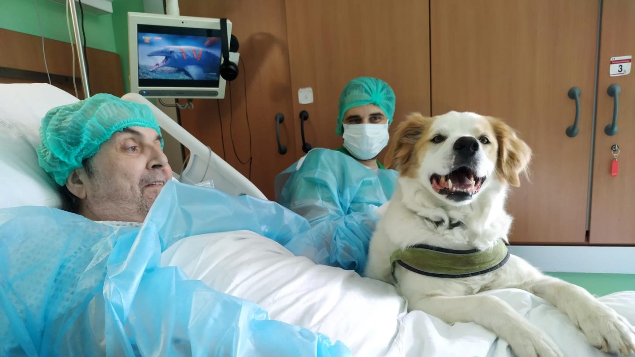 cane e uomo in ospedale