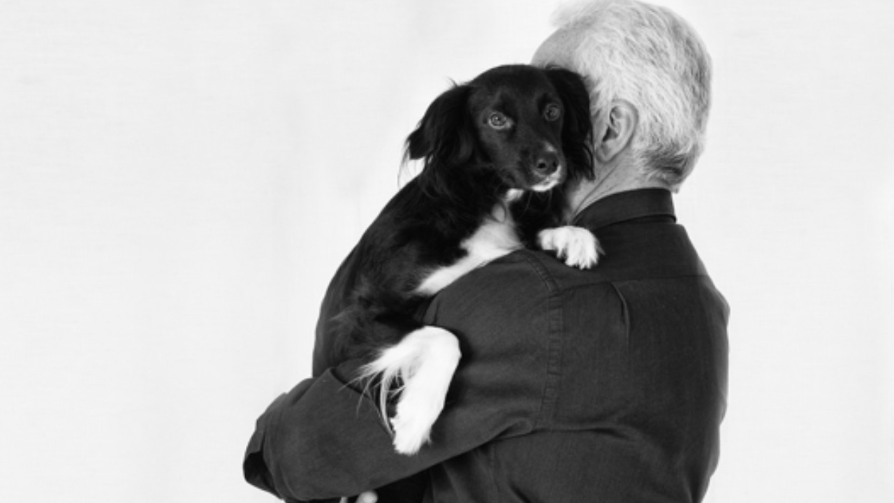 Umano abbraccia il cane