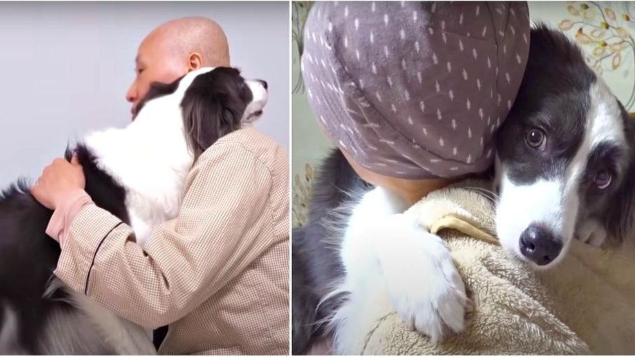 Cucciolo di cane con la sua proprietaria