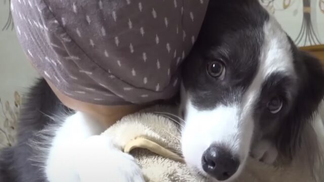 Il cucciolo festeggia con amore il ritorno a casa della mamma, rientrata dopo un anno di lotta contro il cancro