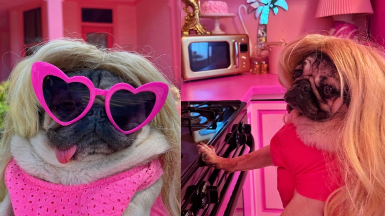 carlino interpreta Barbie