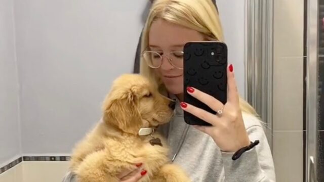 La donna decide di mostrare quanto è cresciuto il suo Golden Retriever in un anno: il finale è commovente