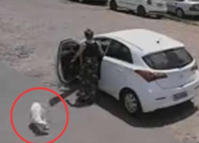 La videocamera cattura una donna che abbandona spietatamente il suo cane disabile, scaricandolo dall’auto