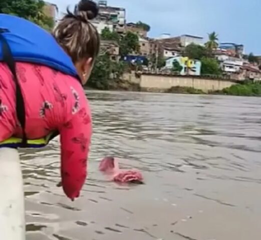 Lo sguardo triste del cucciolo dopo essere stato trovato in una borsa galleggiante lungo il fiume ti lascerà senza parole