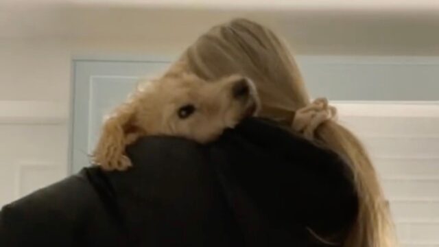 Ragazza abbraccia cagnolino per l'ultima volta