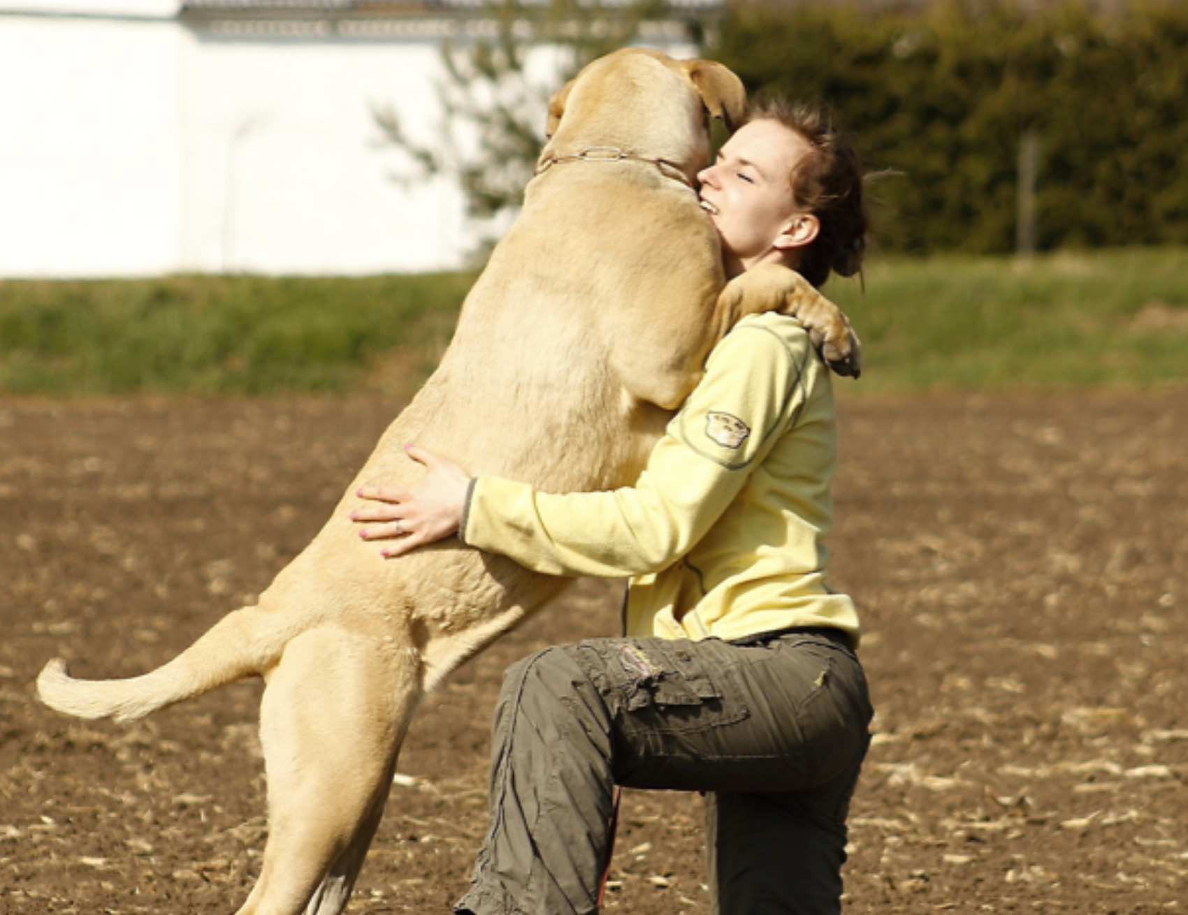 Cane abbraccia la donna